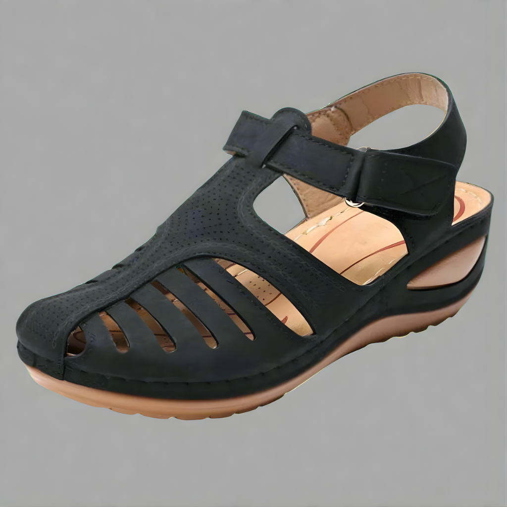 Black / 12